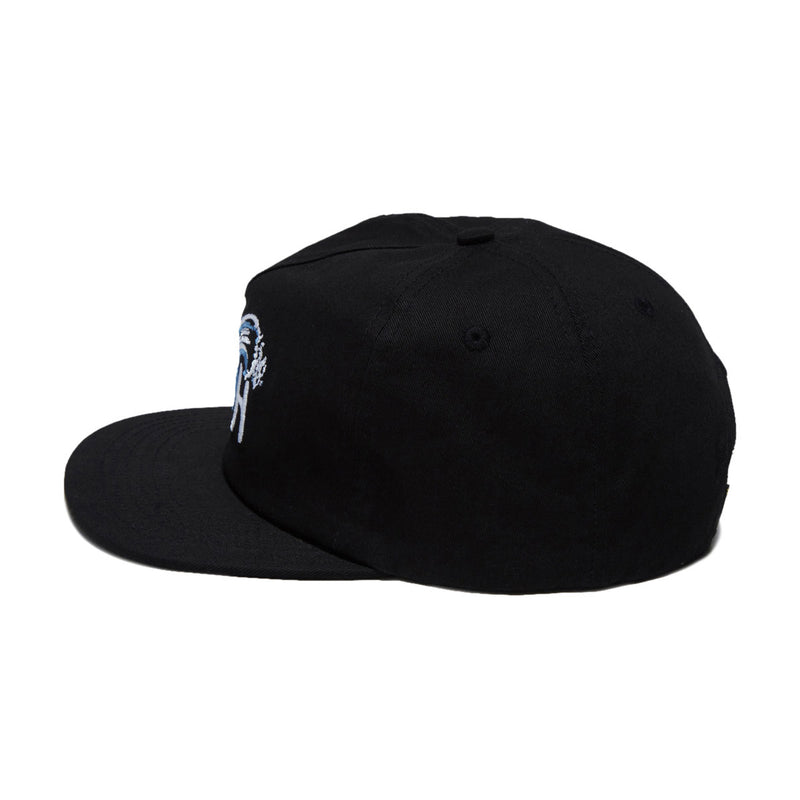 Anti-Hero Expressions Hat - Black