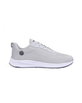 Bacca Bucci Project Plus