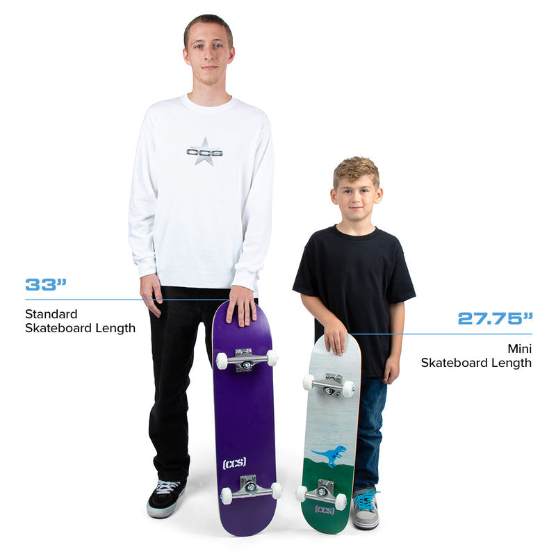 CCS Flame Surfer Mini Skateboard Complete - Multi