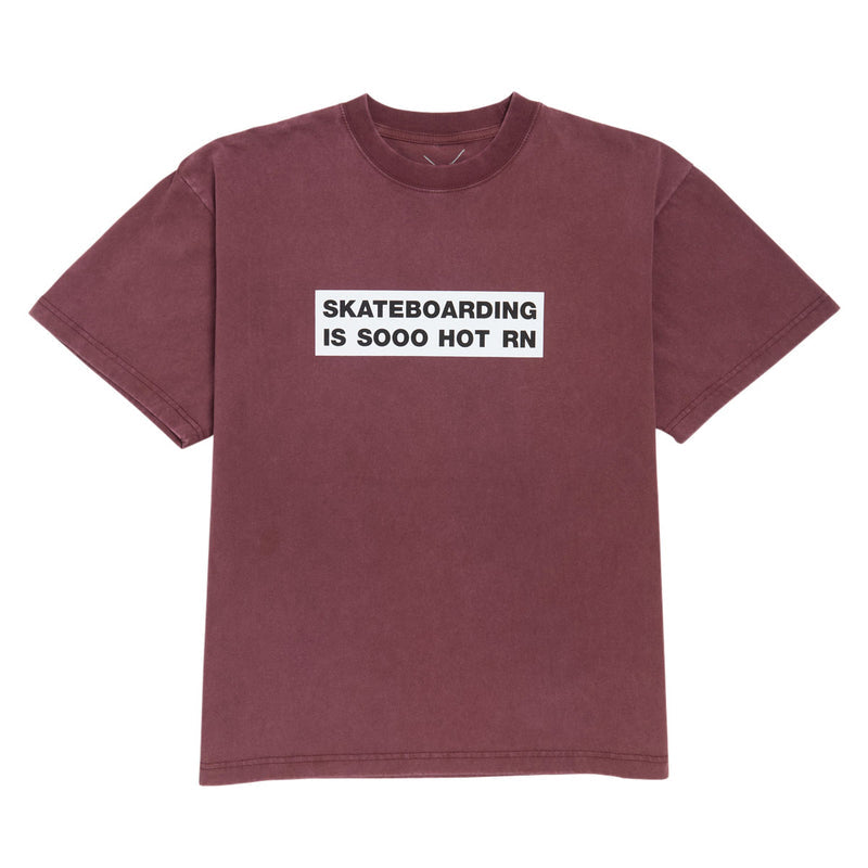 Color Bars So Hot T-Shirt - Vintage Mahogany
