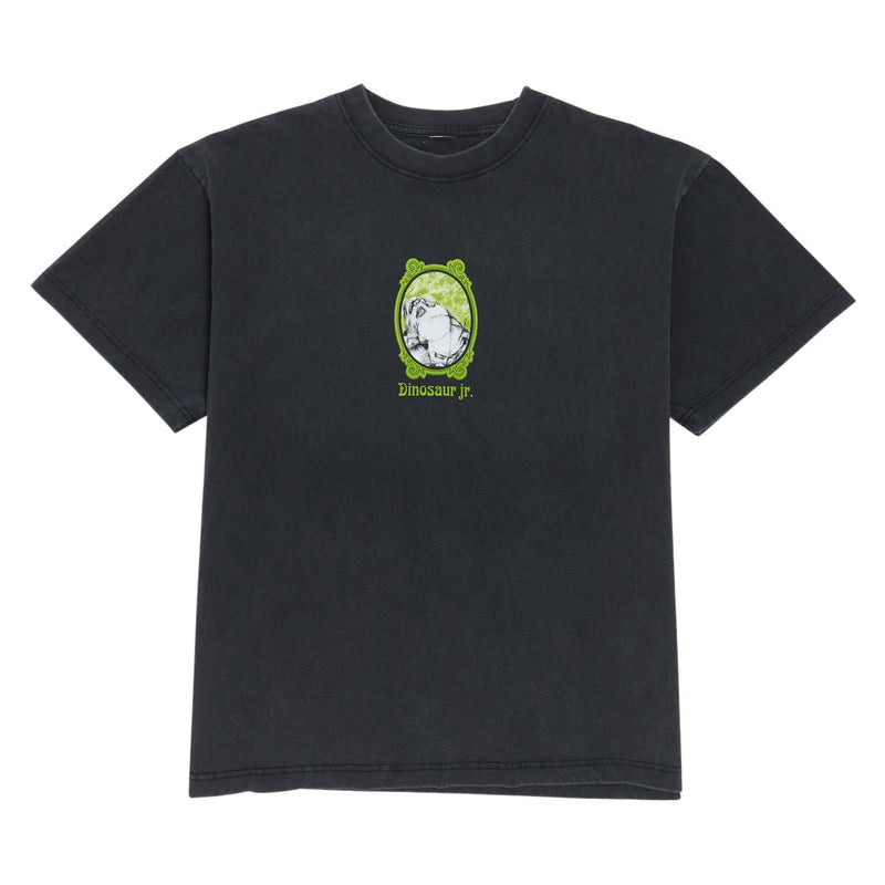 Color Bars x Dinosaur Jr All Over Me T-Shirt - Vintage Black