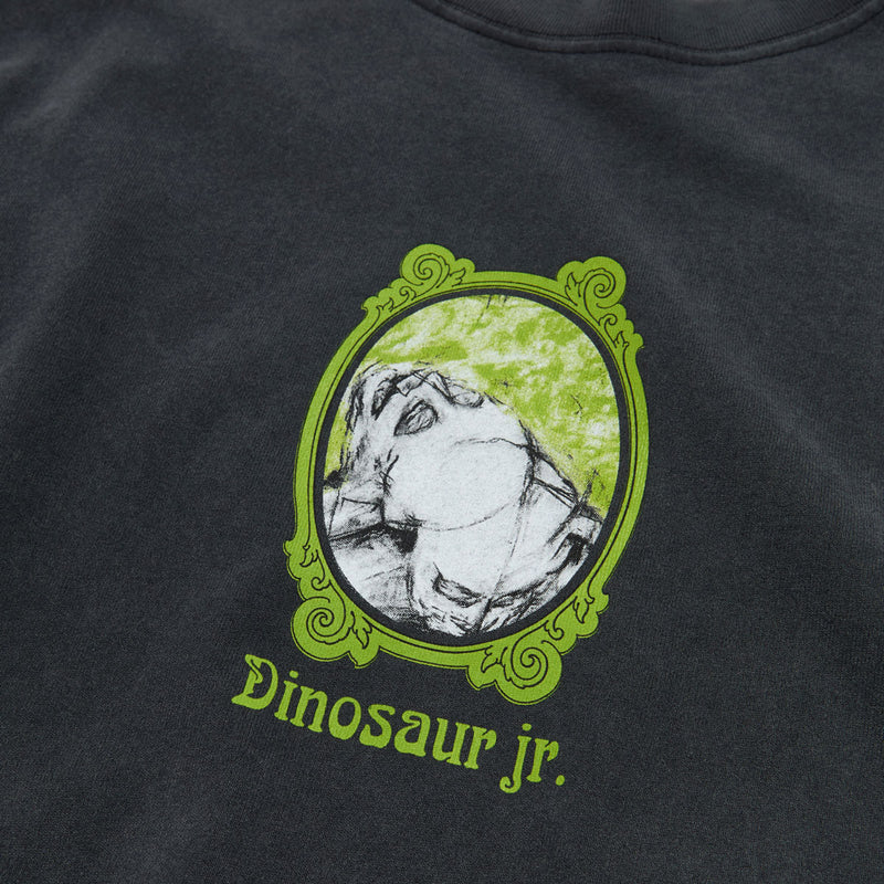 Color Bars x Dinosaur Jr All Over Me T-Shirt - Vintage Black